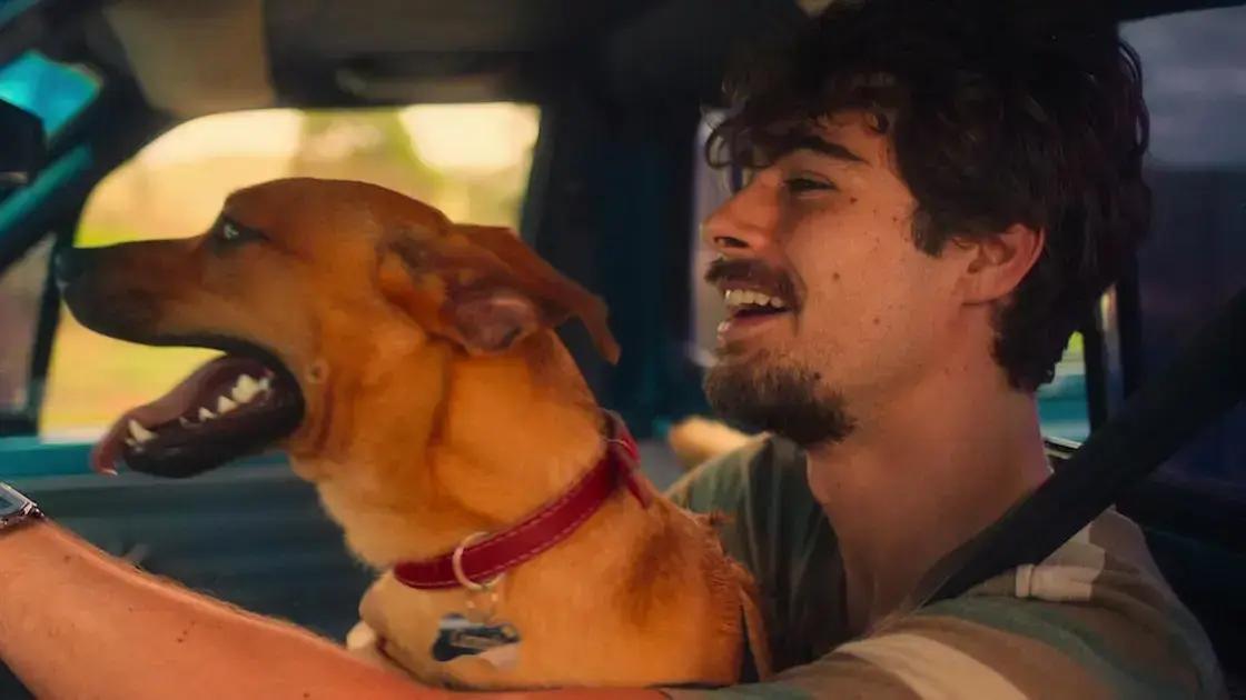 Lançamentos da Netflix: Caramelo e Néro chegam esta semana (06 a 12/10)
